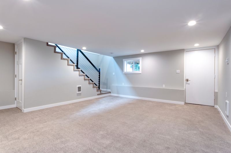 Basement Reno