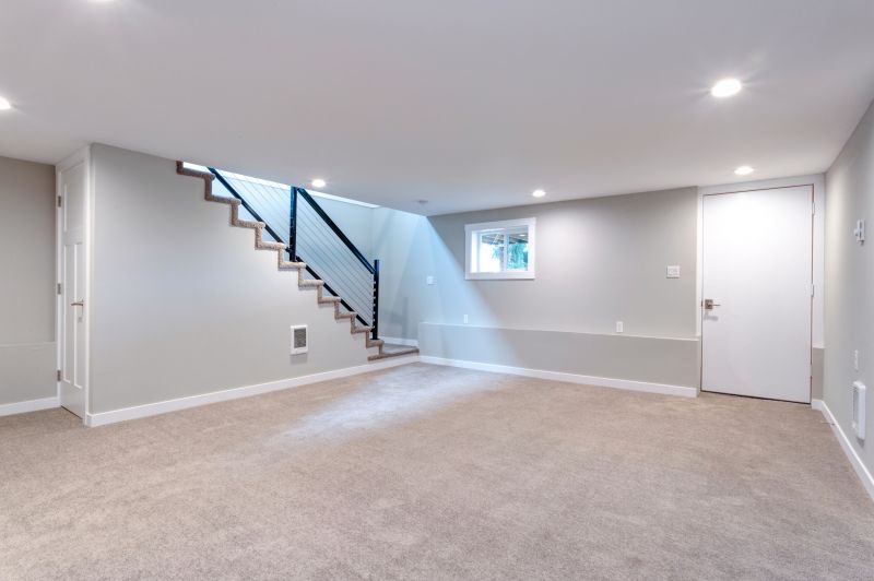 Basement Reno