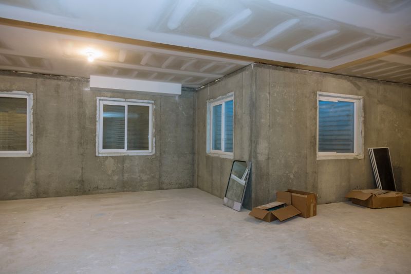 Basement Reno