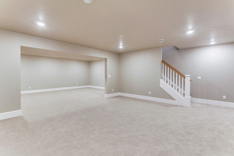 Basement Reno