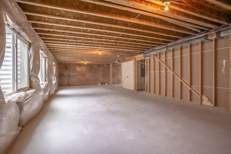Basement Reno