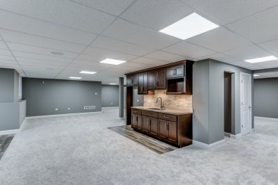 Basement Renovation in Spring